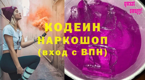 2c-b Гусев