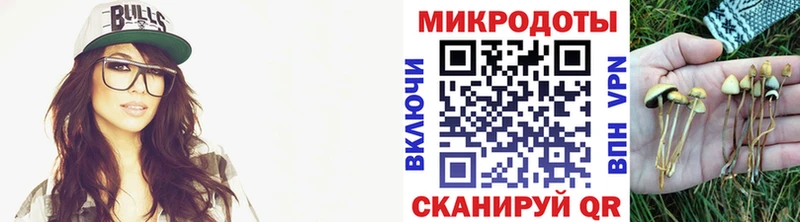 нарко площадка наркотические препараты  закладки  Нерюнгри  Галлюциногенные грибы прущие грибы 