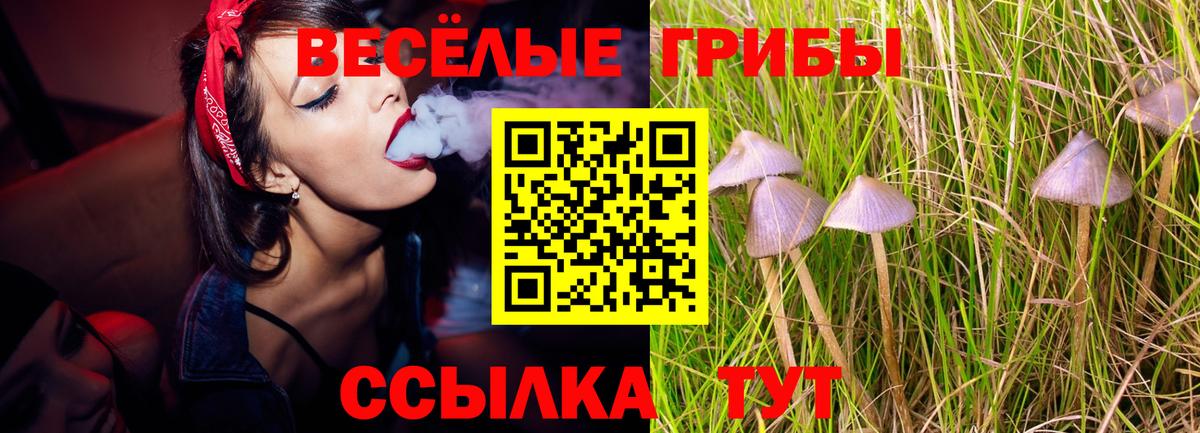 купить наркотики цена  Псилоцибиновые грибы Psilocybe  Галлюциногенные грибы Magic Shrooms  Вход с VPN  Нерюнгри 