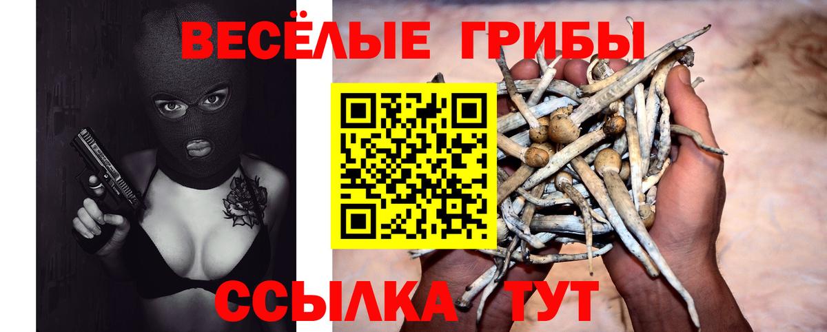 Галлюциногенные грибы MAGIC MUSHROOMS Нерюнгри