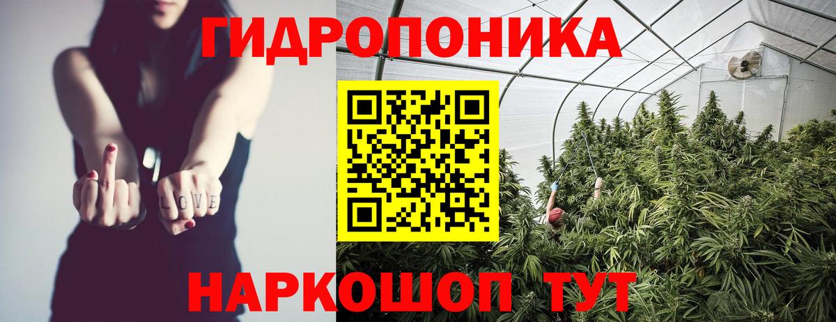 Конопля конопля  Бошки Шишки гибрид  Нерюнгри  Вход с VPN 